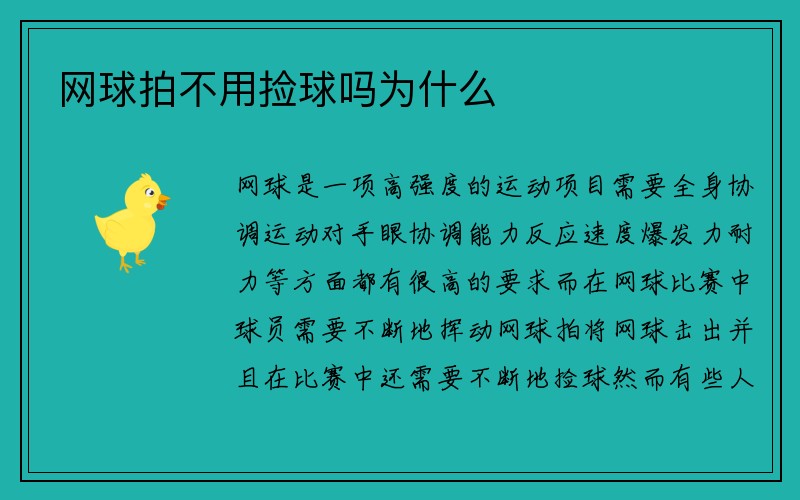 网球拍不用捡球吗为什么