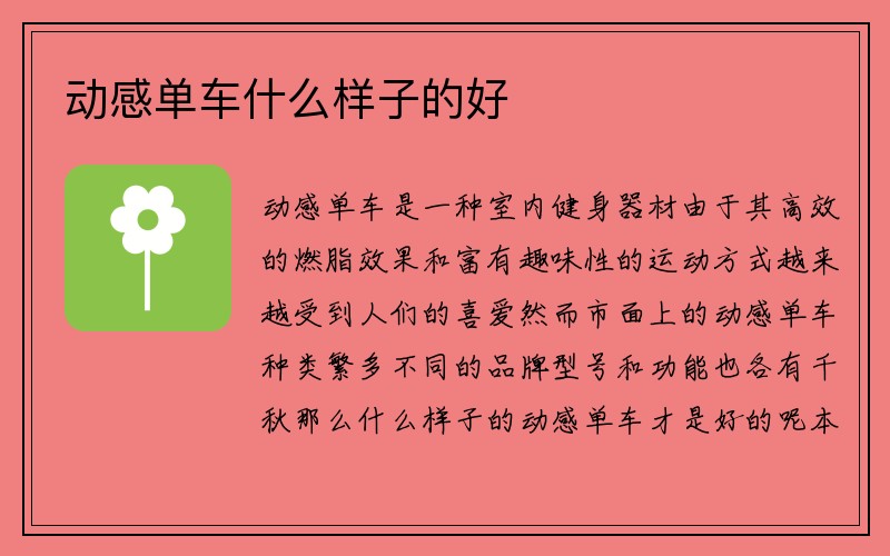 动感单车什么样子的好